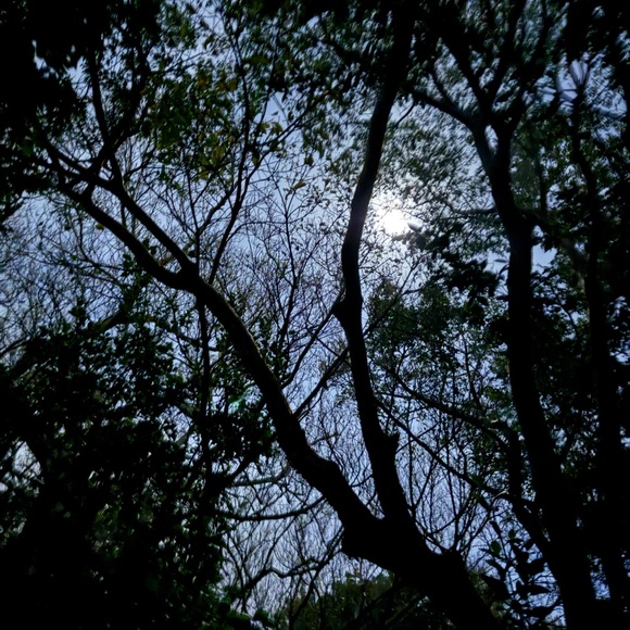 nightriver
